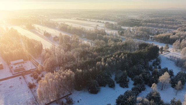 Beautiful aerial view of a misty frozen forest - Powered by Adobe