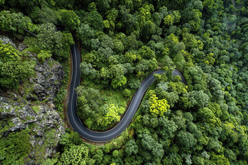 Fototapeta premium Winding asphalt road curves through dense green forest with rocky terrain on one side, creating serene and natural landscape from aerial perspective