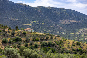 Aerial view of Erateini coastal village and olive groves, Central Greece