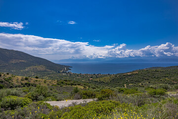 Aerial view of Erateini coastal village and olive groves, Central Greece