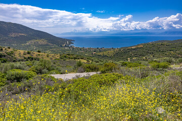 Aerial view of Erateini coastal village and olive groves, Central Greece