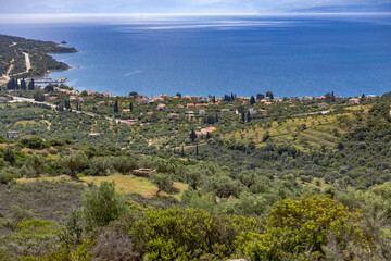 Aerial view of Erateini coastal village and olive groves, Central Greece