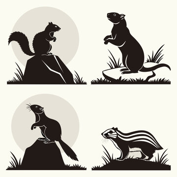 Silhouette of various squirrels and chipmunks