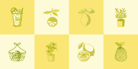 A collection of yellow citrus fruits and botanical illustrations on a grid