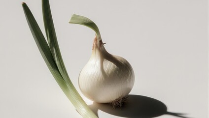 Fresh Spring Onion with Green Stalks on White Background.