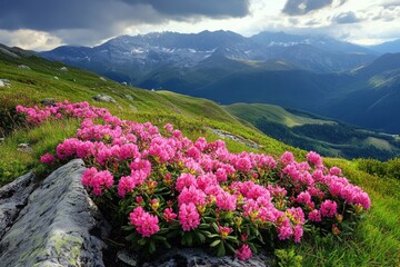 A vibrant landscape of rolling hills and majestic mountains under a cloudy sky, with a variety of flora and fauna adding to the beauty of the scene.