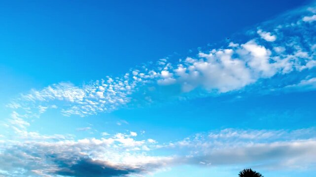 Windblown Treetop, Leaves of Pipal Tree with Roof of Temple on Bright Blue Sky Background with Clouds Record Video at Riverside Temple, Khai Si, Bueng Kan, Thailand. 05Nov2024, P.M./ Real Time Video