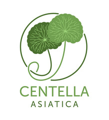 Centella asiatica extract emblem - plant used in cosmetology. In flat colors