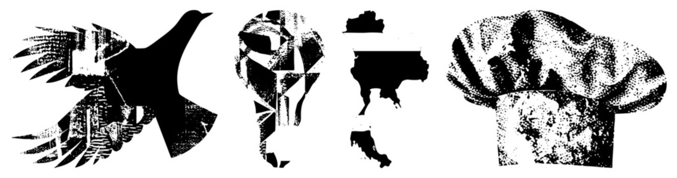 bird lightbulb map chef hat abstract vector