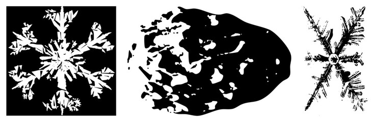Three snowflake and asteroid vector