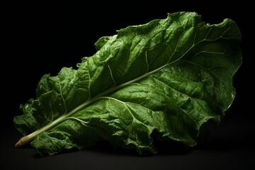Vibrant green chard leaf with visible veins and water droplets, lying on a black background, creating a stark contrast