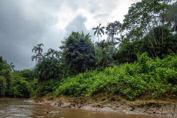 Exploring the dense greenery of Cuyabeno Reserve in the Amazon