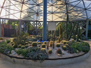 Cactus and Succulent Garden Under a Geodesic Dome.