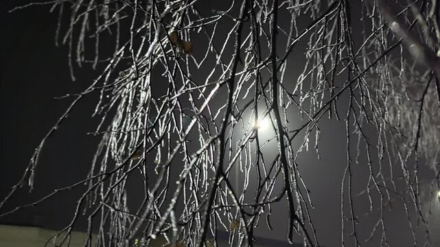 Dark clouds loom as icy tree branches sparkle in the glow of a streetlamp. Winter weather transforms the scene into a magical, frozen landscape filled with shimmering beauty.