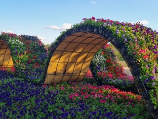 Floral Arches in a Vibrant Garden Landscape