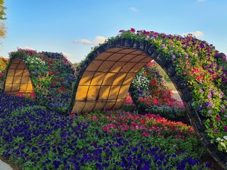 Floral Arches in a Vibrant Garden Landscape
