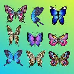 Fototapeta premium Colorful Butterfly Illustration Set on Green Gradient Background