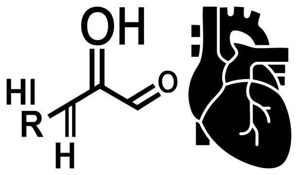 Heart anatomy and aldehyde chemical structure