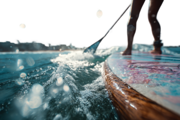 Paddleboarding stand up paddle activity isolated on transparent background