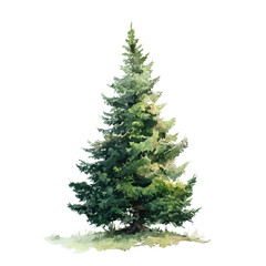 Christmas Tree, watercolor clipart vector, isolated on a white background.