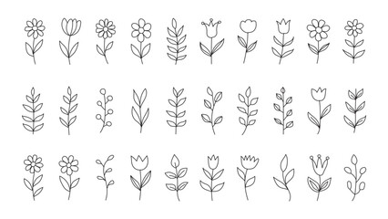 Set of Simple Hand-Drawn Floral Illustrations