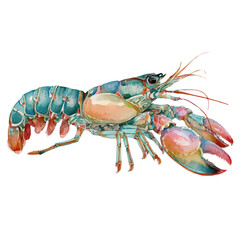 Lobster Shrimp Mantis Shrimp, watercolor vector, isolated on a white background.
