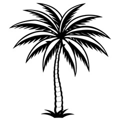 Obraz premium palm trees silhouette
