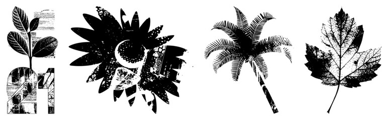 four stylized leaves and plant in black and white