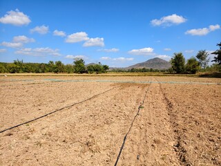 Gardeners are connecting the water system.