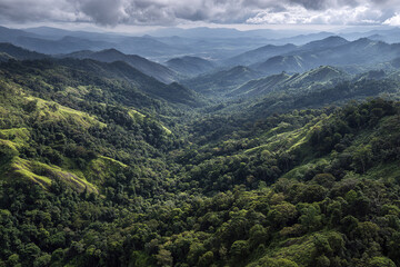 Naklejka premium Tropical rainforest hills seen from above with layered green trees under cloudy sky creating serene and lush natural landscape full of depth and texture
