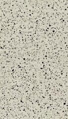 Fototapeta premium High-Quality Fine Grit Paper Texture for Text Art and Sketching, Ideal for Artists and Designers