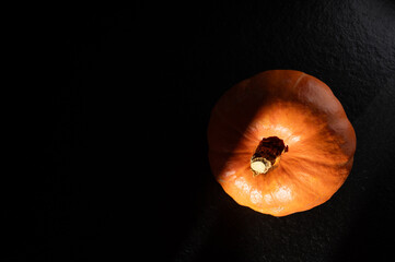Kürbis auf dunklem Hintergrund. Kürbis im Halbschatten. Nachtschattengwächs