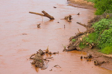 Muddy waters on river bed