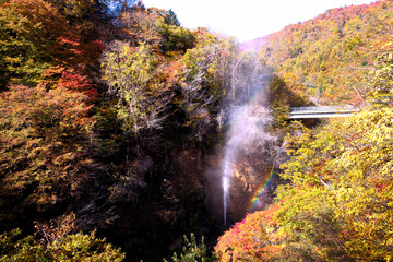 日光市　川俣の間欠泉