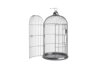 Elegant Silver Birdcage with Open Door
