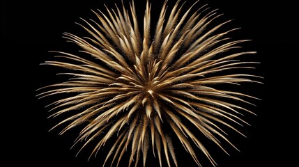 Obraz premium Close-up of a spiky, spherical plant structure against a black background
