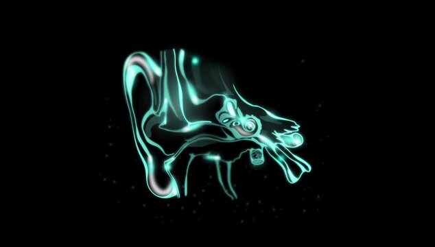 Motion graphics animation of human ear