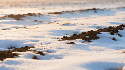 winter landscape with snow