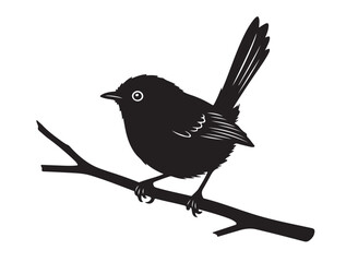 Fairy Wren silhouette image white background.