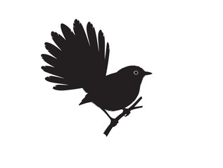 Fantail silhouette image white background.