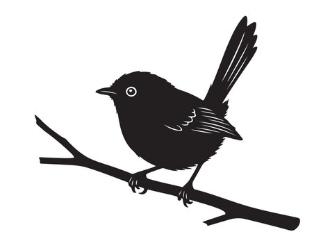 Fairy Wren silhouette image white background.