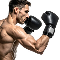 Muscular Man Wearing Boxing Gloves Fighting.
