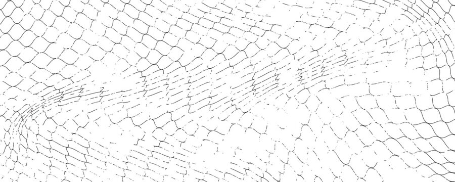 Mesh texture for fishing nets. Seamless pattern for sportswear or soccer goal, volleyball net, basketball hoop, hockey, athletics. Abstract net background for sports, eps10