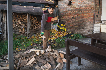 A bearded man works in the garden, collecting chopped firewood in a wheelbarrow in autumn or spring...