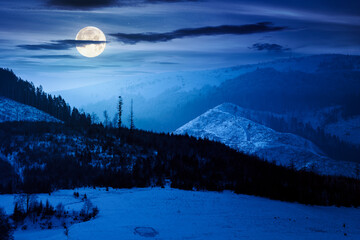 winter landscape with snow covered forested hills at night. mountains in cold weather in full moon light. rural scene. christmas holidays in alpine region. backdrop for fiction art or mystery concepts