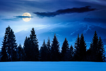 winter landscape at night. fir trees on snow covered hill in full moon light. mysterious place in mountains. winter wonderland background for photo travel. backdrop for fiction art or mystery concepts