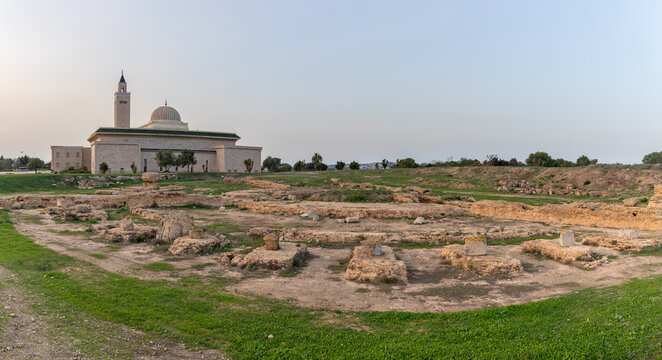 Anas Ibn Malek Mosque and Archaeological Site of Carthage - The Odeon Theatre