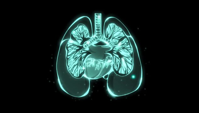 motion graphics animation of human lungs