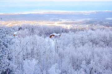 A bright winter landscape looking down at wooden cabins nestled in a dense frost-covered forest near Collingwood, Ontario, with a frozen bay in the distance.