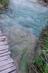 Wooden planks on the clear water of a lake with reeds